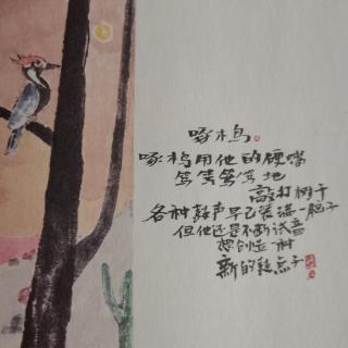 一起读诗|16.啄木鸟