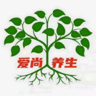 《爱尚养生》第083期：肾功能的重要性