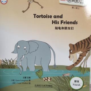 Tortoise and his friends