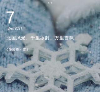 雪落无声❄️  二