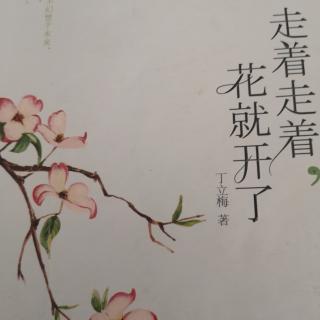 《白山芋，红山芋》