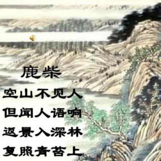 孙艺萱《鹿柴》（唐•王维）