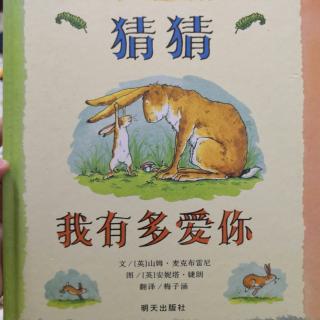 《猜猜我有多爱你》绘本