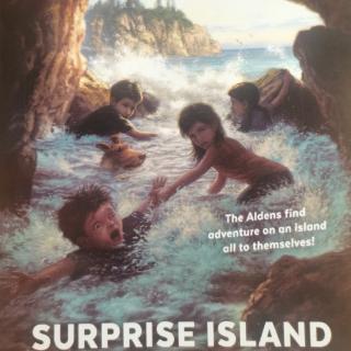 surprise island 11