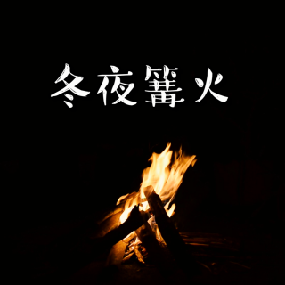 白噪音｜冬夜篝火