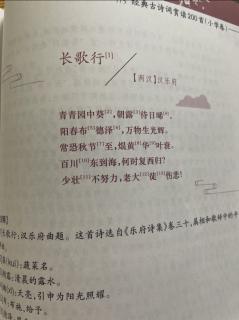 长歌行 两汉 汉乐府