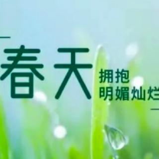 《春天的声音》作者张秀亚