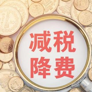 税收热点政策解读：社会保险费涉费事项可以“掌上办”啦！