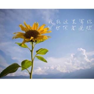 《我在等你》作者：余秋雨