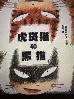 虎斑猫和黑猫