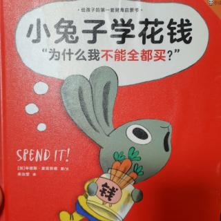 小兔子学花钱～李钰鑫