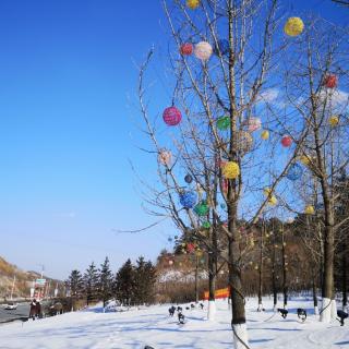 你那里下雪了吗   雁之希