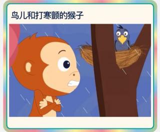 The birds and the shivering monkeys🐒鸟和猴子
