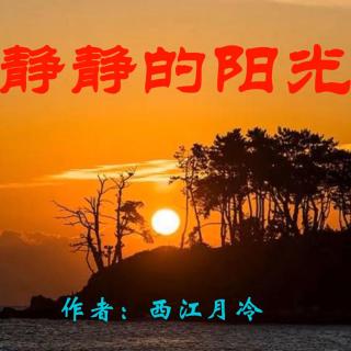 《静静的阳光》作者：西江月冷 诵读：大连伙计