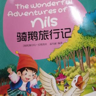 《骑鹅旅行记》轩轩