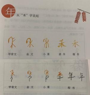 时节之美—解字“年”