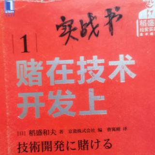 🌸为了发挥企业“飞行员”的作用339-348