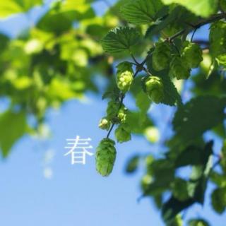 春天来了，愿你幸福吉祥。