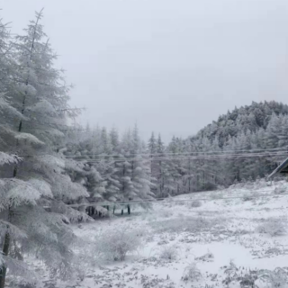 《借一场大雪》作者：碑林路人