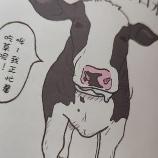 遗憾的进化72：牛🐂