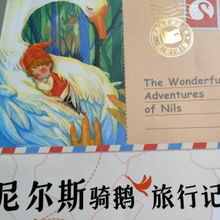 尼尔斯骑饿旅行记之旅行开始