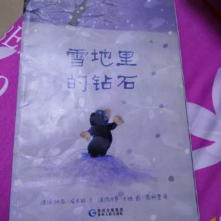 《雪地里的钻石》