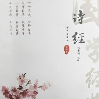《诗经》国风·秦风·权舆 | 陈风·宛丘