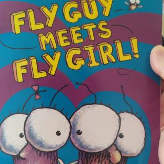 fly guy meets fly girl