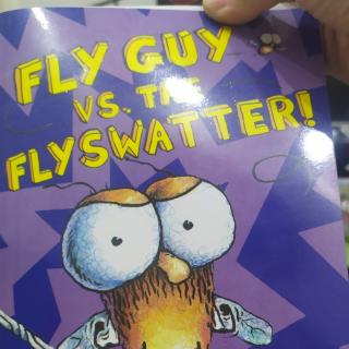 Fly guy Vs the flyswatter