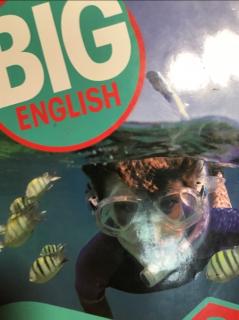 Big English