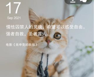 猫王🐈一