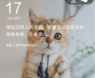 猫王🐈二