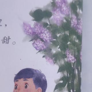 《一株紫丁香》