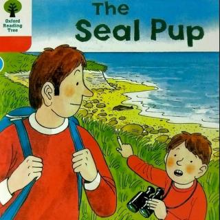 207 （1）牛津树精读The Seal Pup(1)