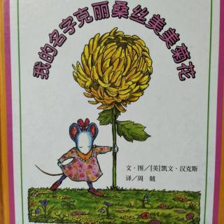 我的名字克丽桑丝美美菊花