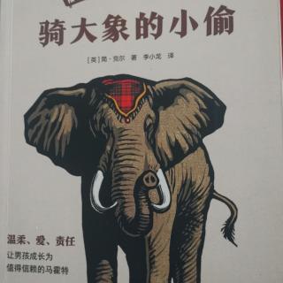 薛佳琴以读《骑着大象的小偷》