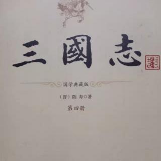 《三国志》董二袁刘传8