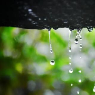 张爱玲：秋天的雨