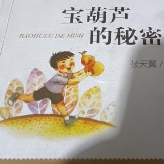 《宝葫芦的秘密》+《考点阅读》