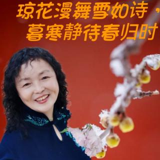 琼琼花漫舞雪如诗，暮寒静待春归时／伊人春

