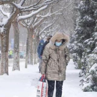 初春落雪，感怀美好