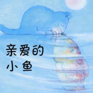 《亲爱的小鱼》