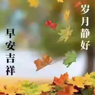 喀纳斯早安心语2.16