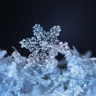 《如果我是一片雪花》