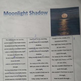 Moonlight Shadow220216