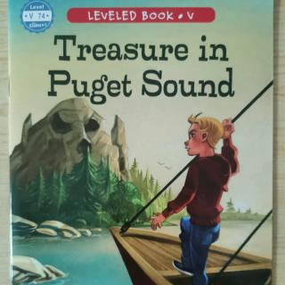 Treasure in puget sound