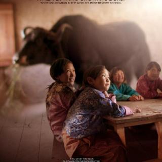 《教室里的一头牦牛》，万物皆平等