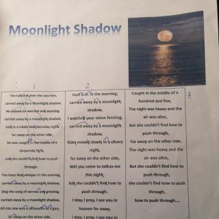 Moonlight Shadow220217