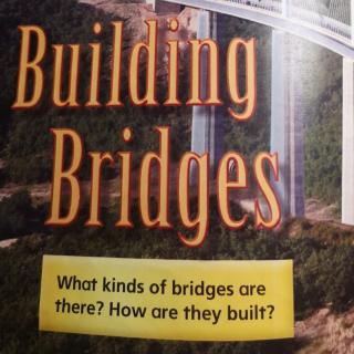 Building Bridges220217