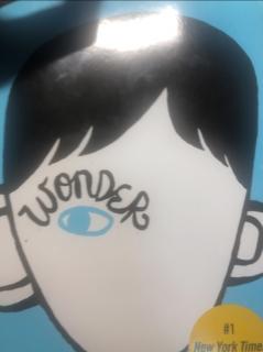 Wonder 40-41